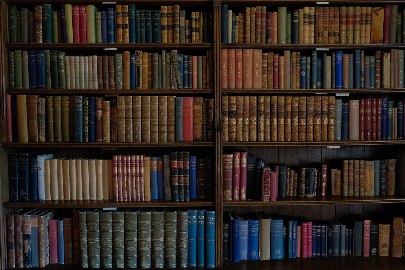 Knihovna se svazky odborné literatury
