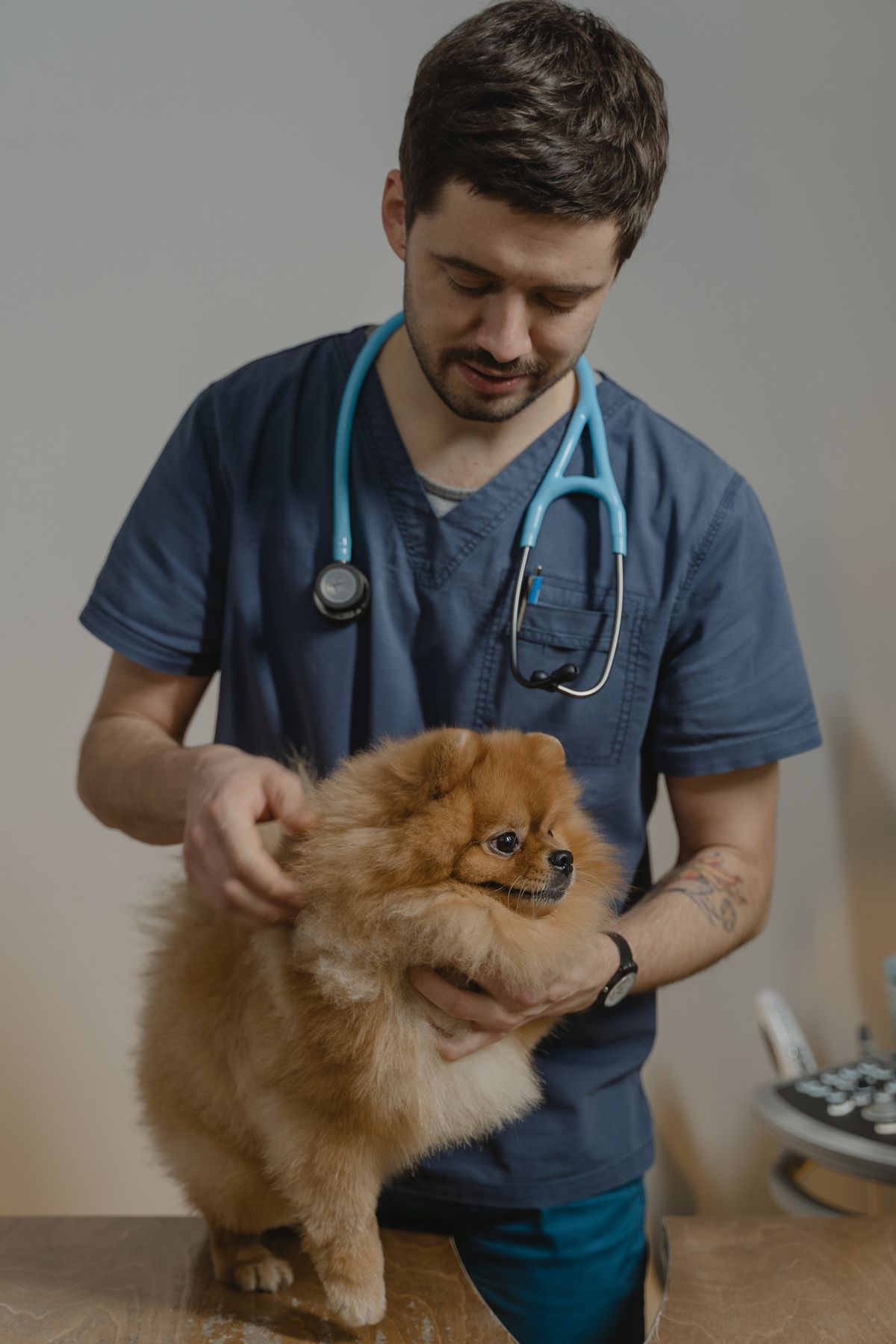 Veterinář s malým chlupatým psem v náruči